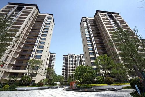 石家庄新房爆料最新消息,最新爆料揭示热门楼盘及价格走势